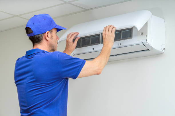 Best Air Duct Mold Removal  in Manchester, TN